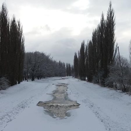 Penzion Hlinkova Plzen Bagian luar foto