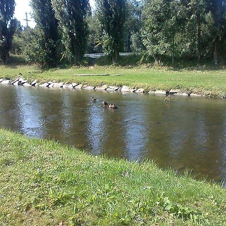 Penzion Hlinkova Plzen Bagian luar foto