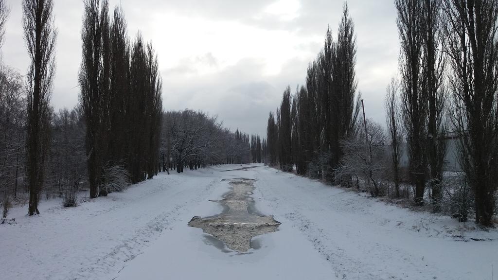 Penzion Hlinkova Plzen Bagian luar foto