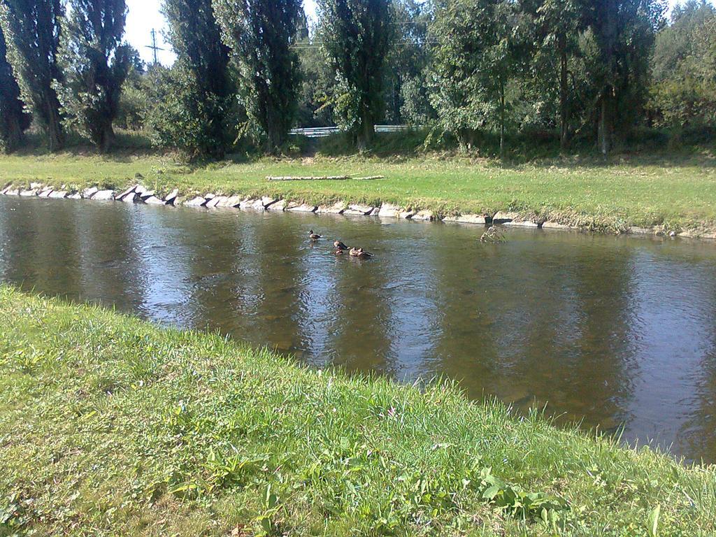 Penzion Hlinkova Plzen Bagian luar foto