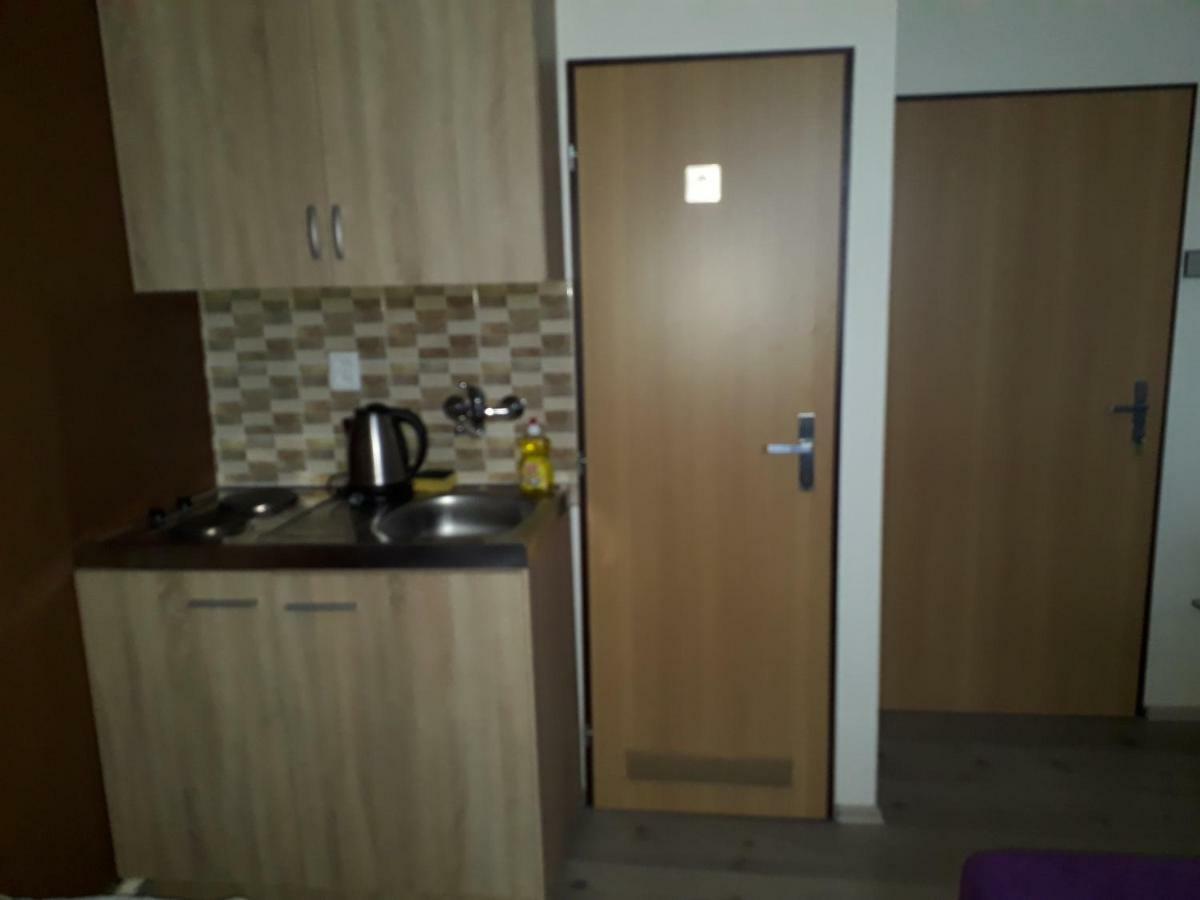 Penzion Hlinkova Plzen Bagian luar foto